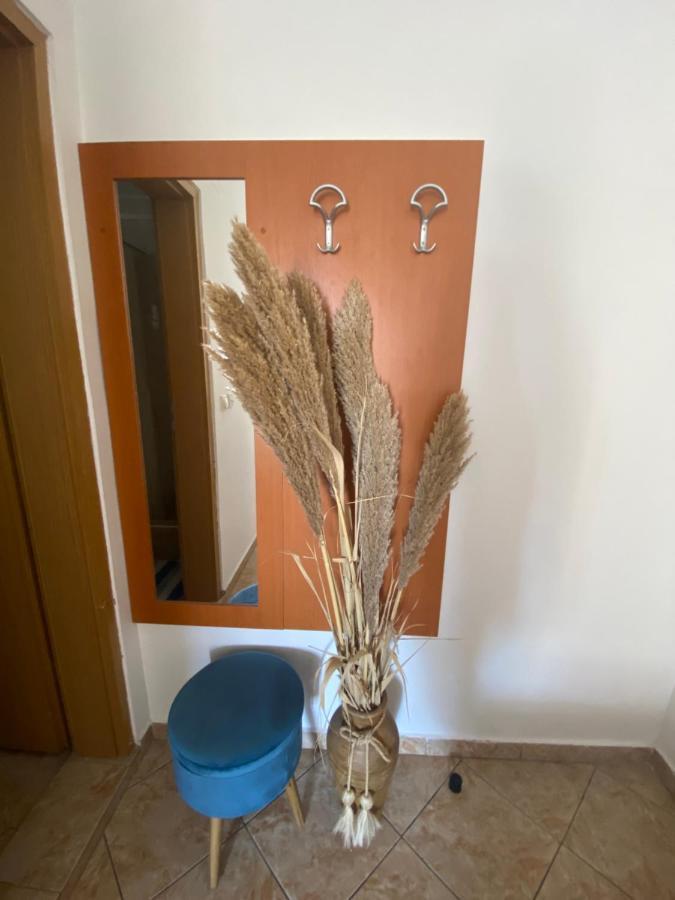 Petrovac Miomir Perazic Apartments מראה חיצוני תמונה