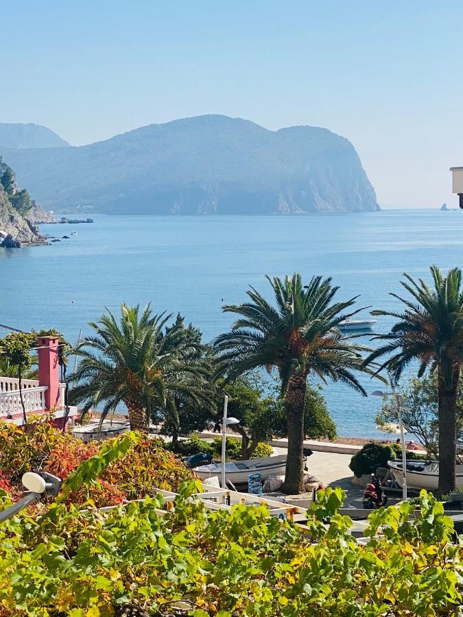 Petrovac Miomir Perazic Apartments מראה חיצוני תמונה